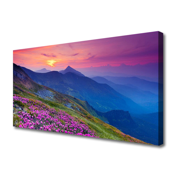 Print van doek Mountain meadow flowers landscape