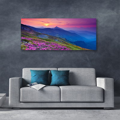 Print van doek Mountain meadow flowers landscape