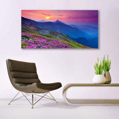 Print van doek Mountain meadow flowers landscape