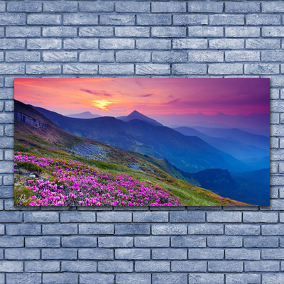 Print van doek Mountain meadow flowers landscape