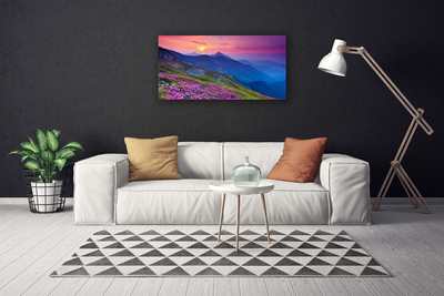 Print van doek Mountain meadow flowers landscape