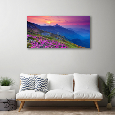 Print van doek Mountain meadow flowers landscape