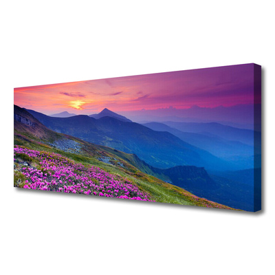 Print van doek Mountain meadow flowers landscape