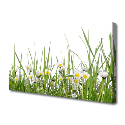 Print van doek Grass daisies nature