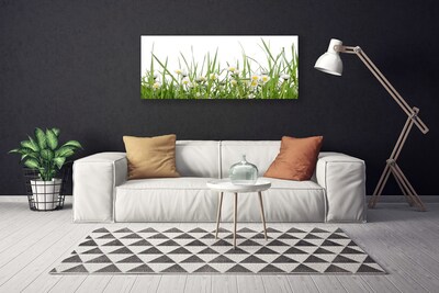 Print van doek Grass daisies nature