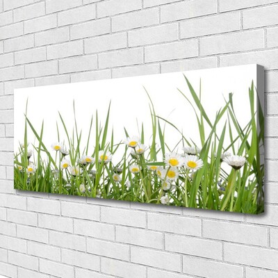 Print van doek Grass daisies nature