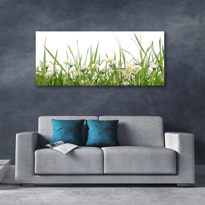 Print van doek Grass daisies nature