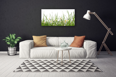 Print van doek Grass daisies nature