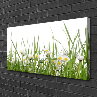 Print van doek Grass daisies nature