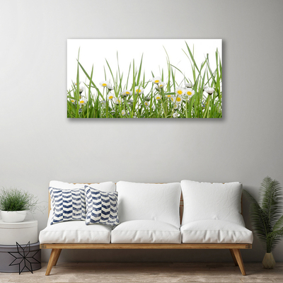 Print van doek Grass daisies nature