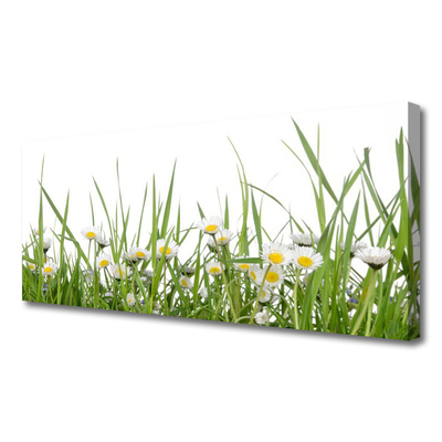 Print van doek Grass daisies nature