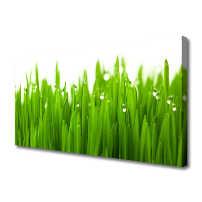 Print van doek Grass nature plant