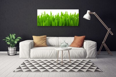 Print van doek Grass nature plant