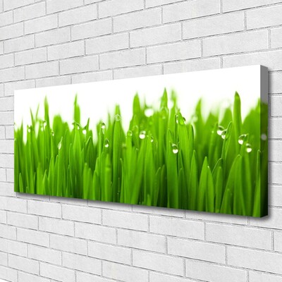 Print van doek Grass nature plant