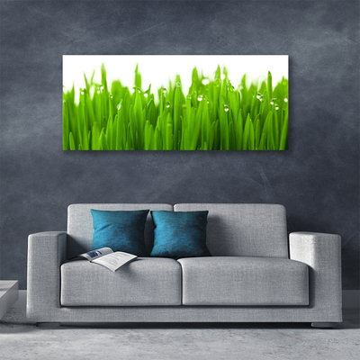 Print van doek Grass nature plant