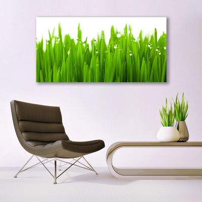 Print van doek Grass nature plant