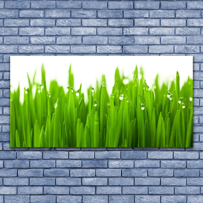 Print van doek Grass nature plant