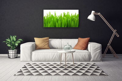 Print van doek Grass nature plant