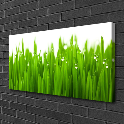 Print van doek Grass nature plant