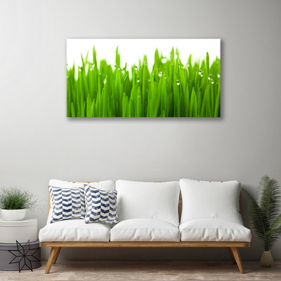 Print van doek Grass nature plant