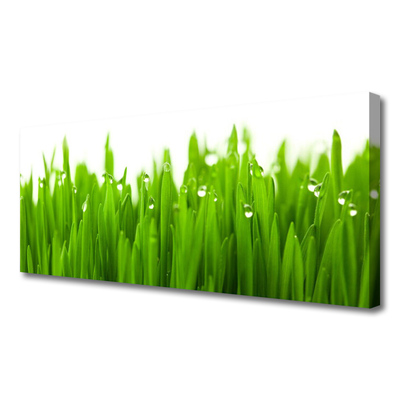 Print van doek Grass nature plant