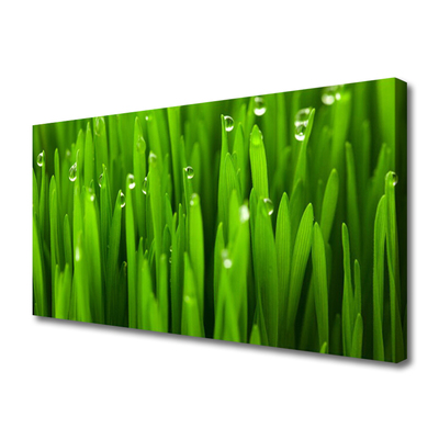 Print van doek Grass nature plant