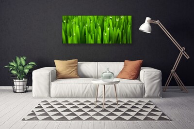 Print van doek Grass nature plant