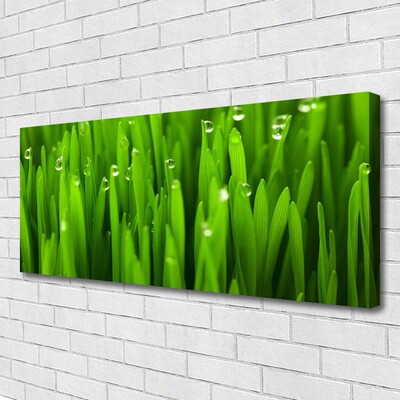 Print van doek Grass nature plant