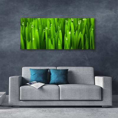 Print van doek Grass nature plant