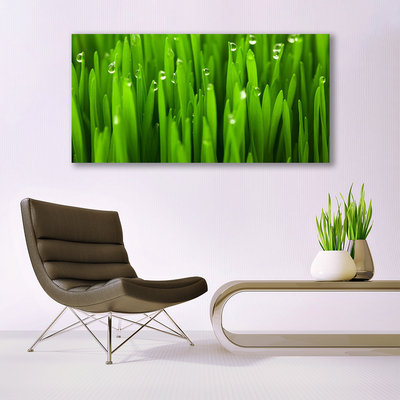 Print van doek Grass nature plant