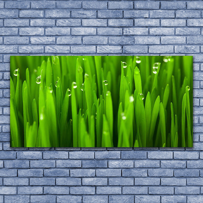 Print van doek Grass nature plant