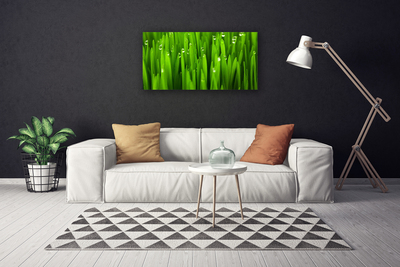 Print van doek Grass nature plant