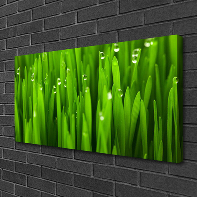 Print van doek Grass nature plant