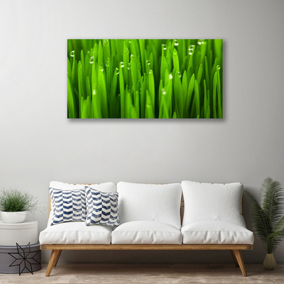 Print van doek Grass nature plant