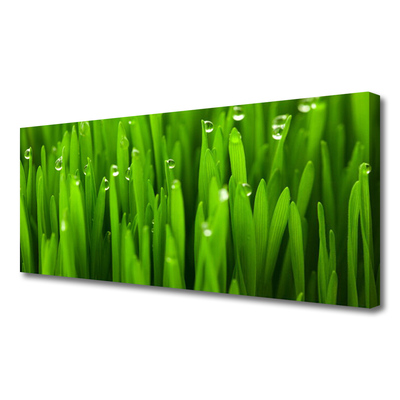 Print van doek Grass nature plant