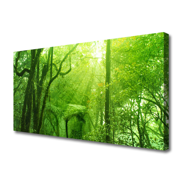 Print van doek Bomen natuur