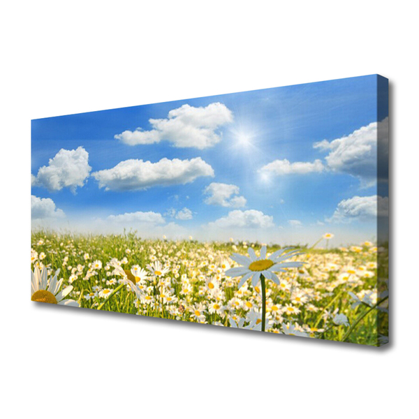 Print van doek Daisy meadow nature