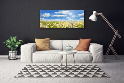 Print van doek Daisy meadow nature