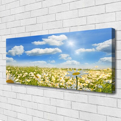 Print van doek Daisy meadow nature