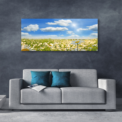 Print van doek Daisy meadow nature