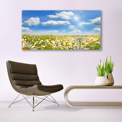 Print van doek Daisy meadow nature