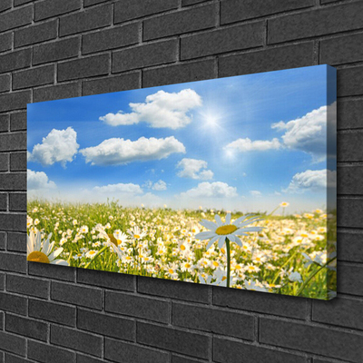 Print van doek Daisy meadow nature