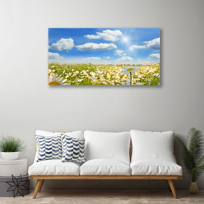 Print van doek Daisy meadow nature