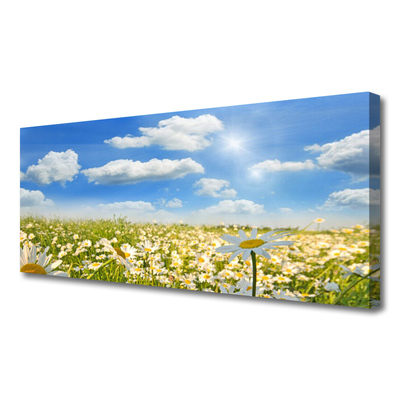 Print van doek Daisy meadow nature