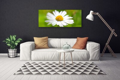 Print van doek Daisy plant nature