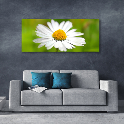 Print van doek Daisy plant nature