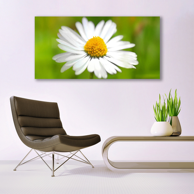 Print van doek Daisy plant nature