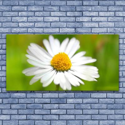 Print van doek Daisy plant nature