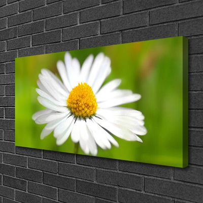 Print van doek Daisy plant nature