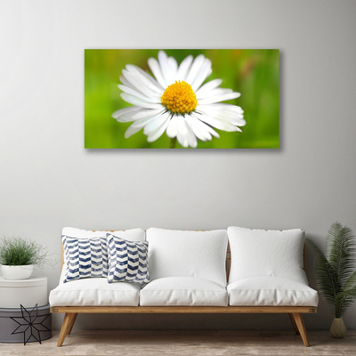 Print van doek Daisy plant nature